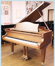 ベヒシュタイン K-158